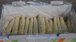IMG_4066_thumb.jpg